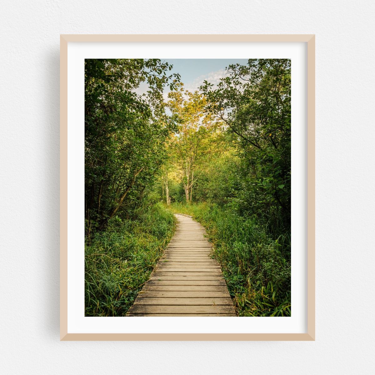 Dolly Sods Trail 01 – image 1 of 12