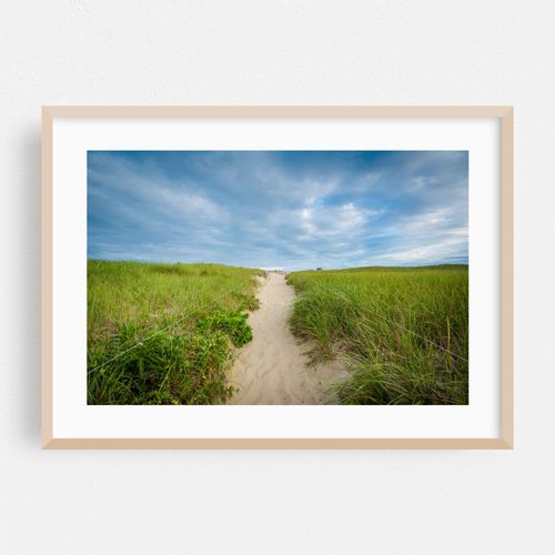 Dunes at Race Point, Provincetown 01