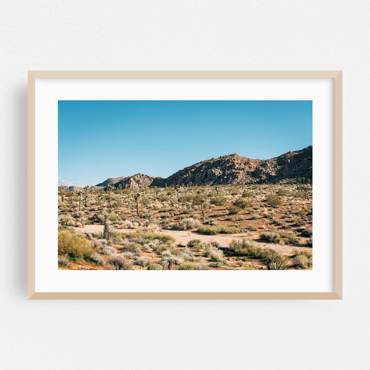 Desert Landscape, Joshua Tree 01 – image 1 of 6