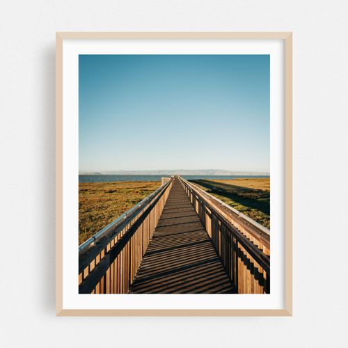 Baylands Nature Preserve, Palo Alto 02