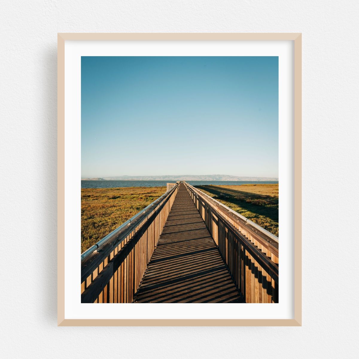 Baylands Nature Preserve, Palo Alto 02 – image 1 of 12