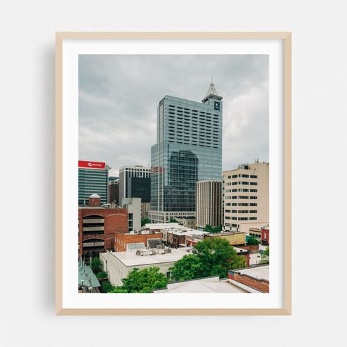 Raleigh Skyline 01