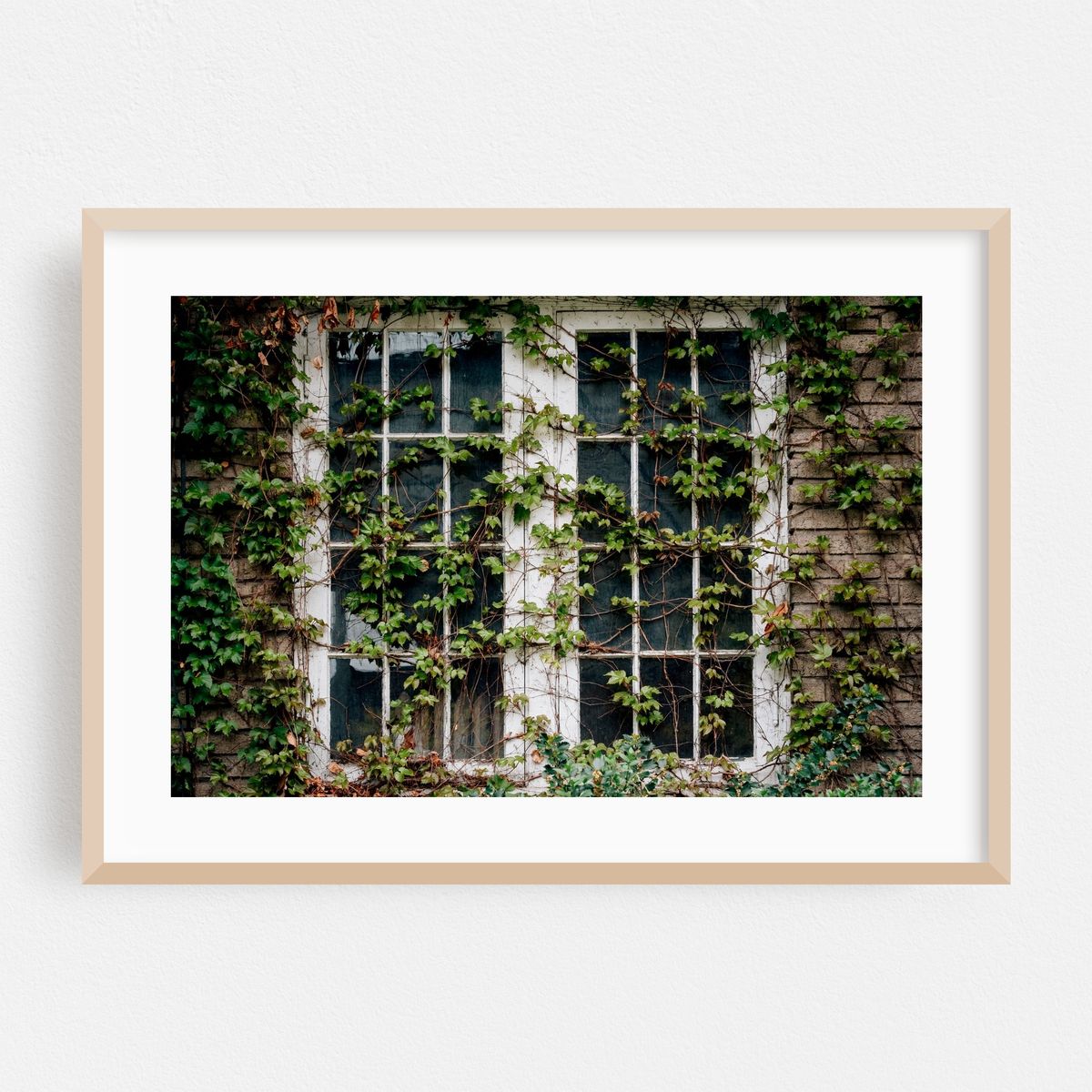Ivy, Cleveland – image 1 of 6