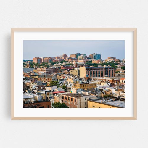Little Italy & Hopkins