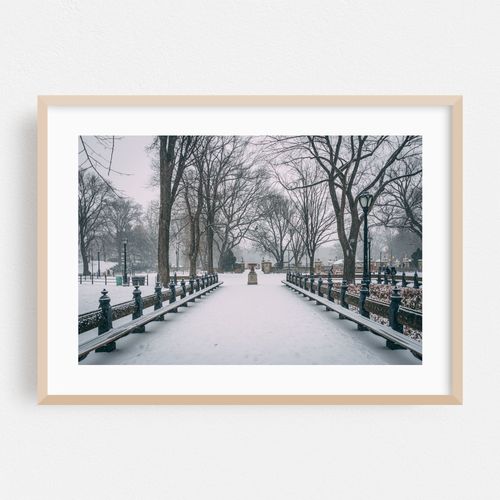 Snowy Central Park 03