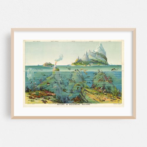 Nature in Descending Regions (1893)
