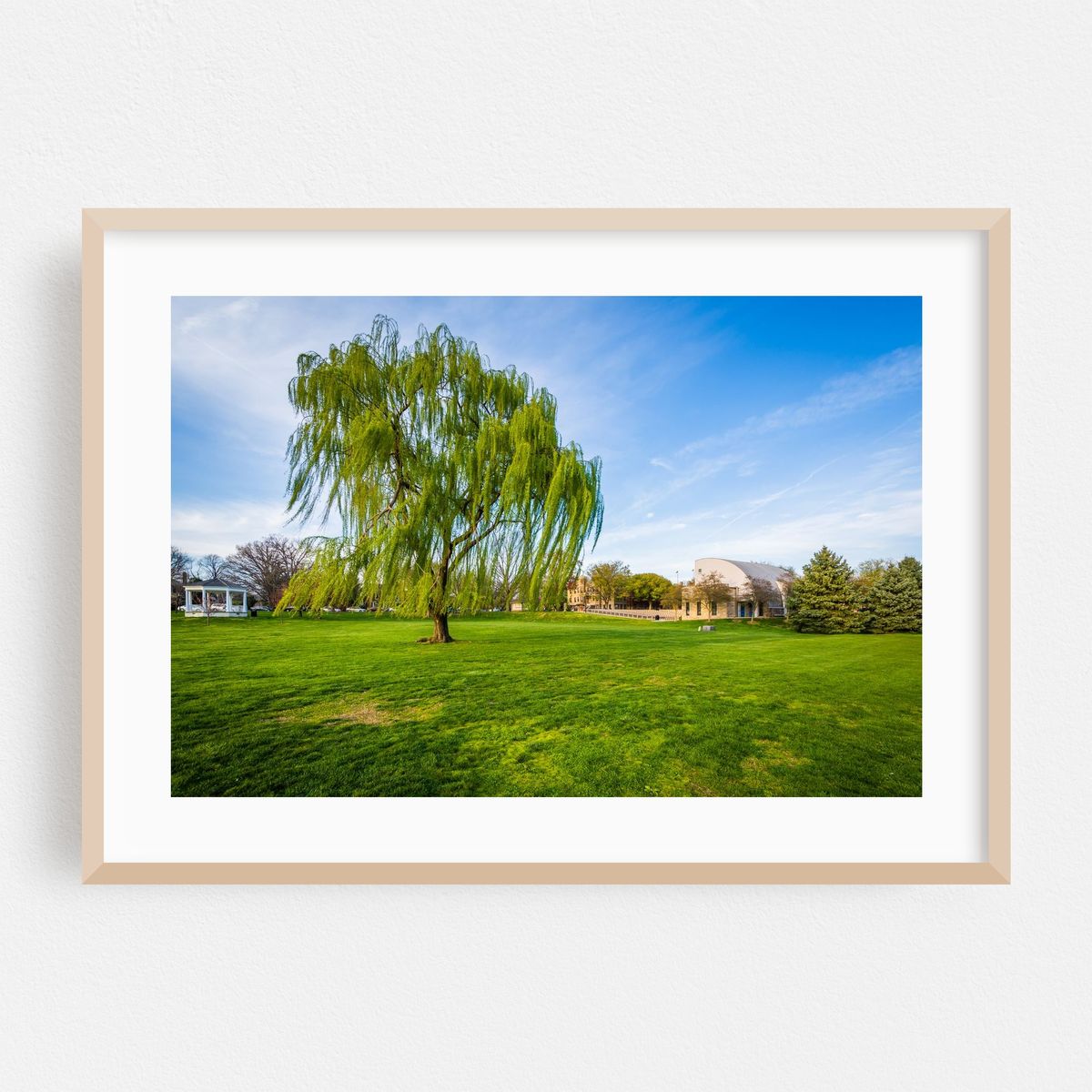 Weeping Willow – image 1 of 6