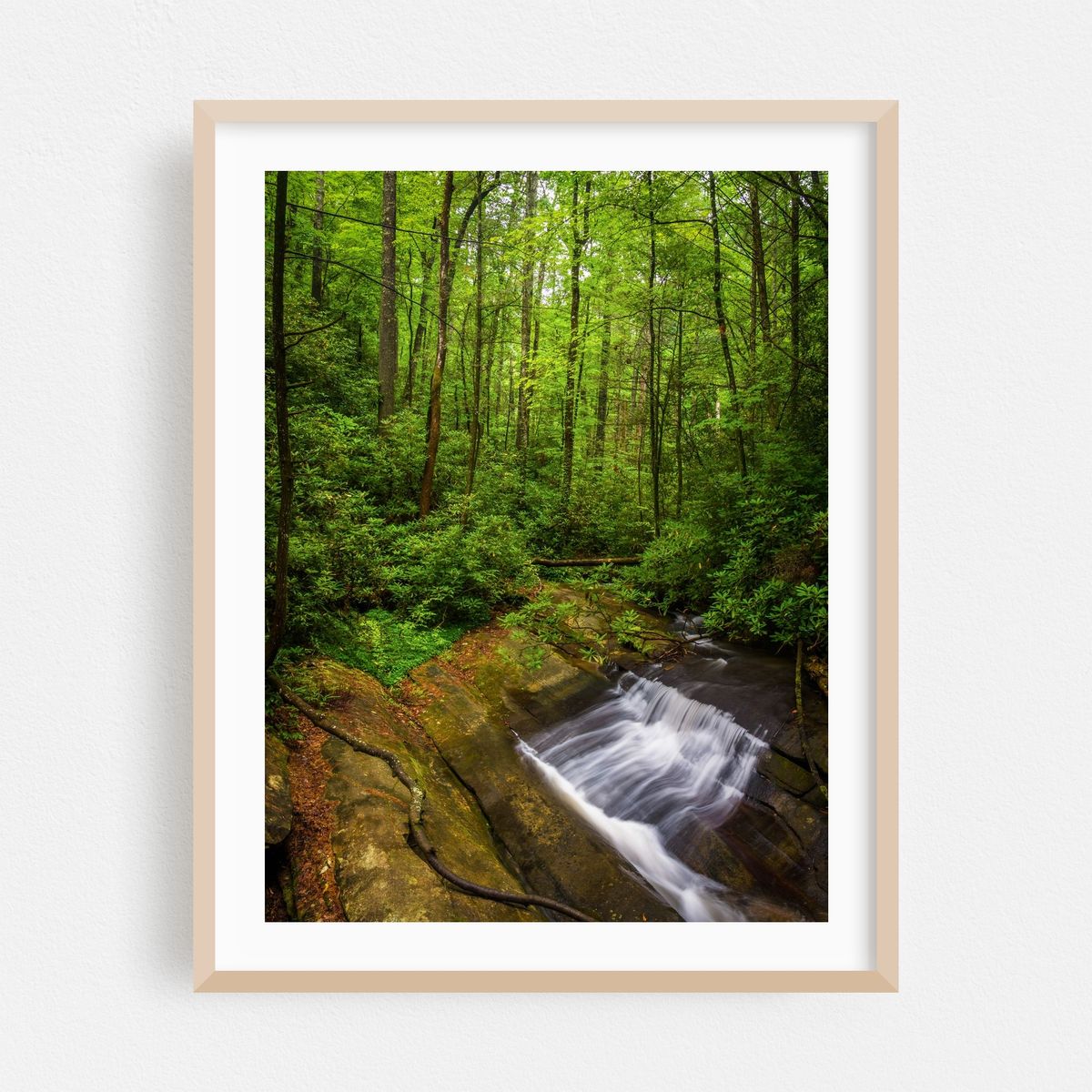 Waterfall at Table Rock State Park 02 – image 1 of 3