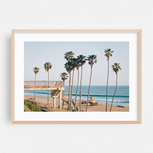 Palms in San Clemente 01