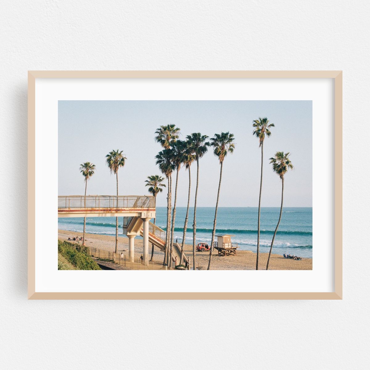 Palms in San Clemente 01 – image 1 of 6