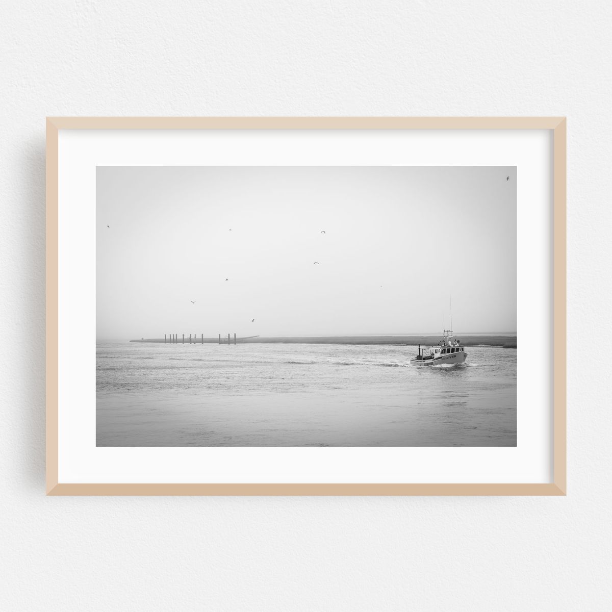 Soft Chincoteague Bay – image 1 of 6
