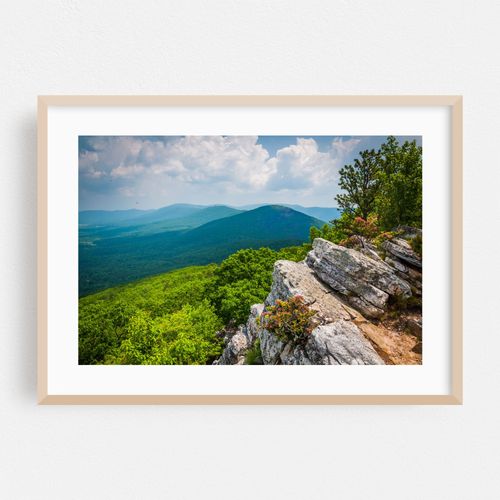 Tibbet Knob
