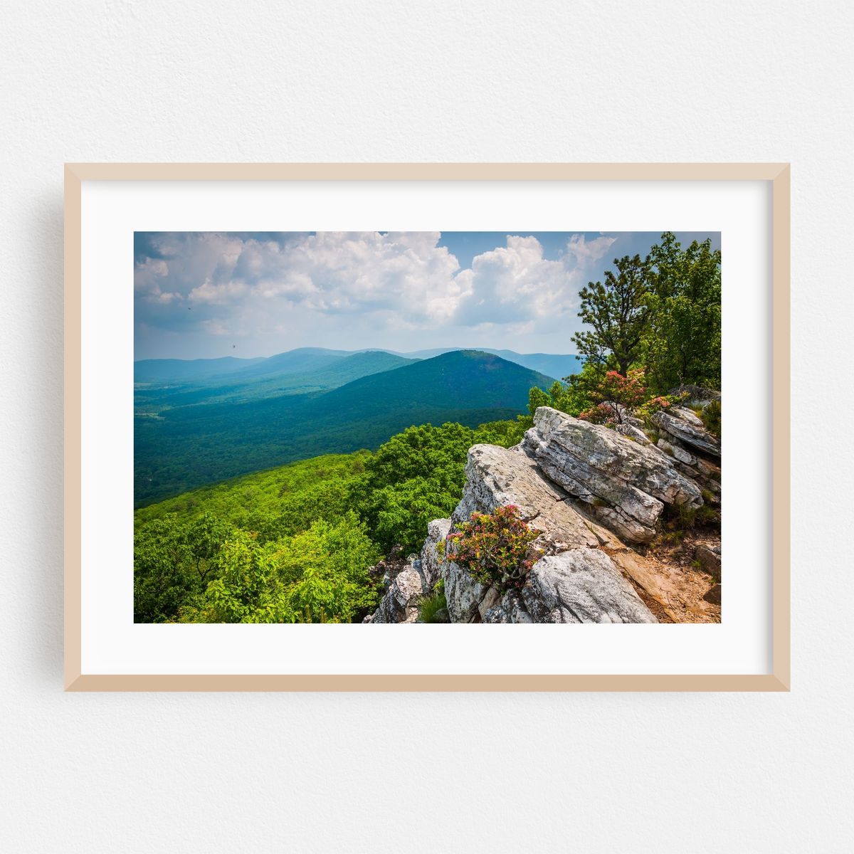Tibbet Knob – image 1 of 6
