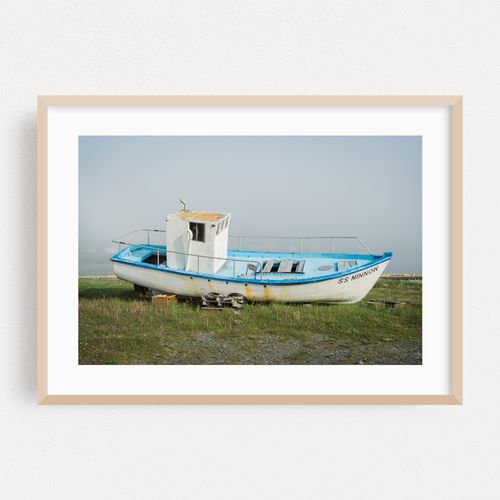 SS Minnow, Ferryland