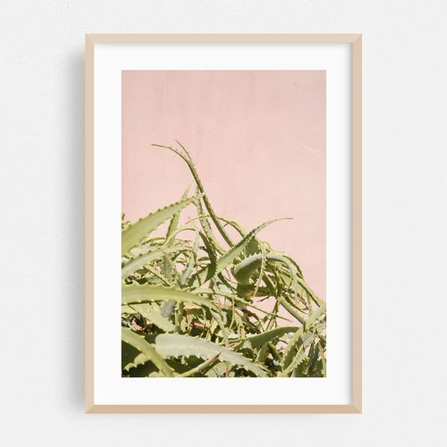 Soft Color Botanicals