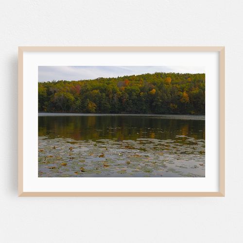 Autumn In Lake Taghkanic State Park