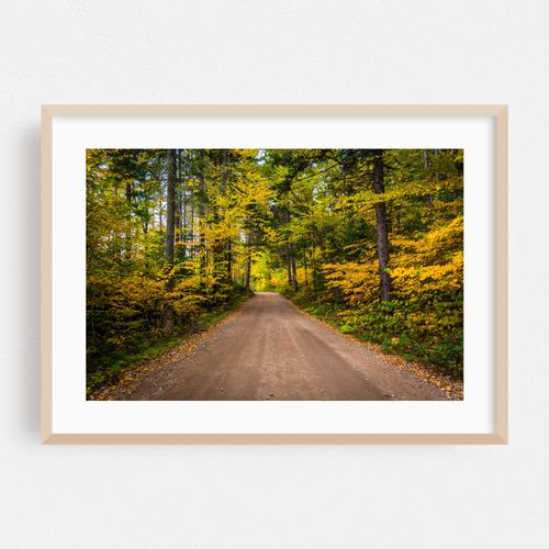 Old Cherry Mountain Road 02