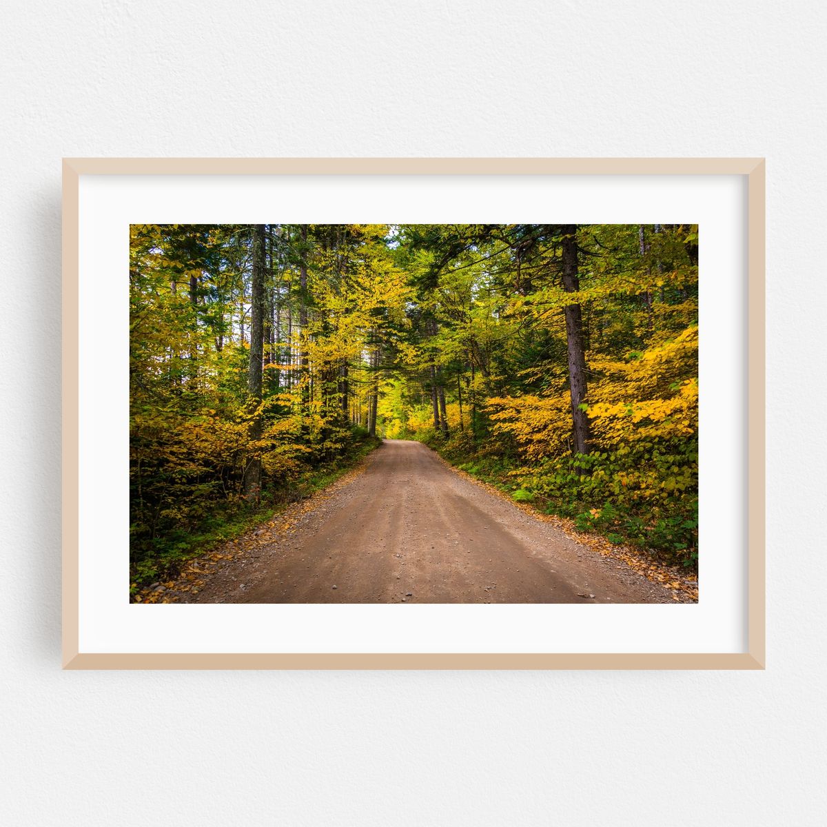 Old Cherry Mountain Road 02 – image 1 of 6