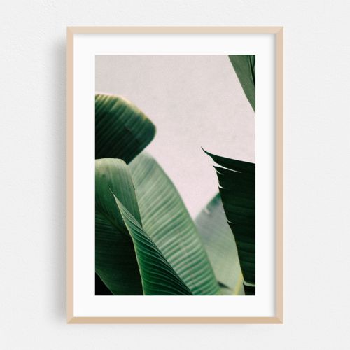 Minimal Palms