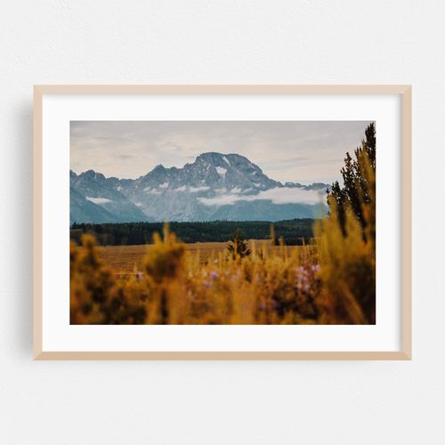 Moody Mount Moran