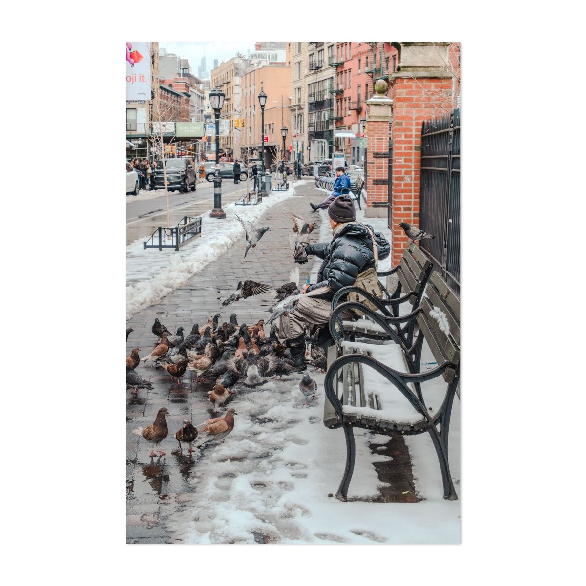 Pigeon Feeding New Yorker – image 1 of 2