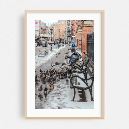 Pigeon Feeding New Yorker