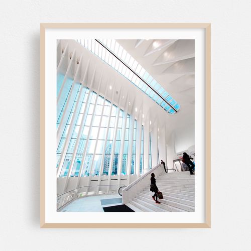 The Oculus 04