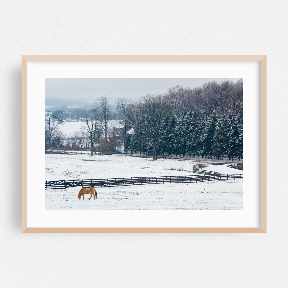 Snowy Spring Grove – image 1 of 6