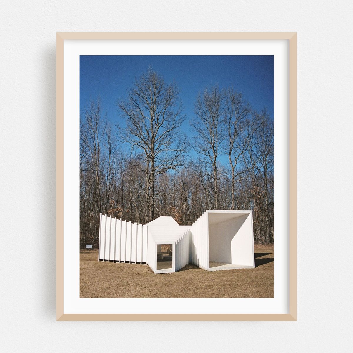 Zoid, Art Omi – image 1 of 12
