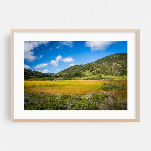 Rancho del Oso