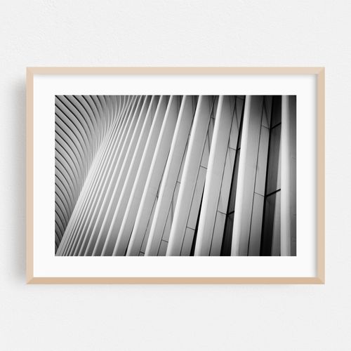 Oculus 02
