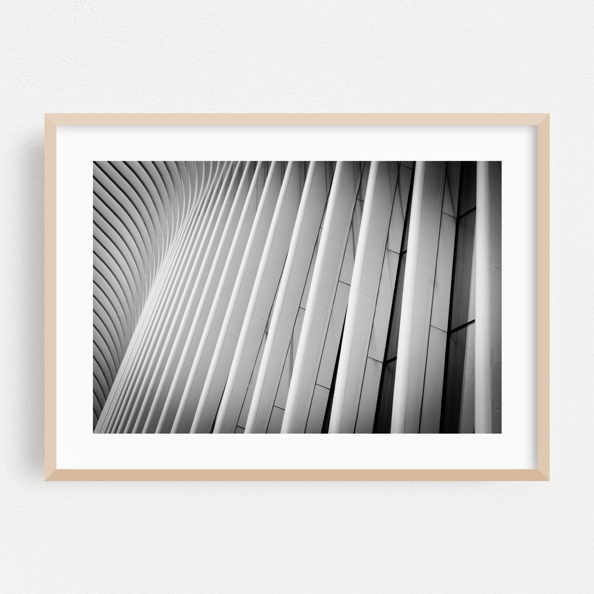 Oculus 02 – image 1 of 6
