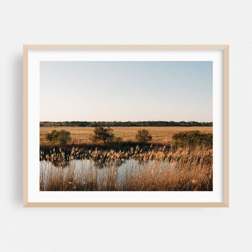 Chincoteague Marsh 03