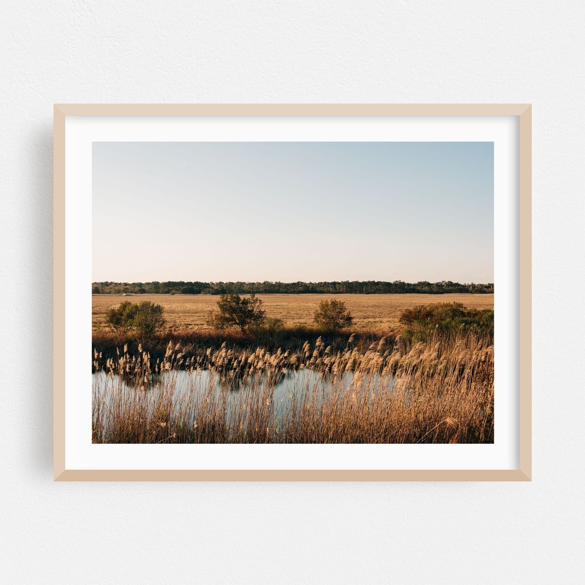 Chincoteague Marsh 03 – image 1 of 3