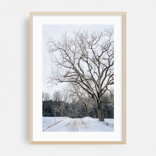 Snowy Road 04
