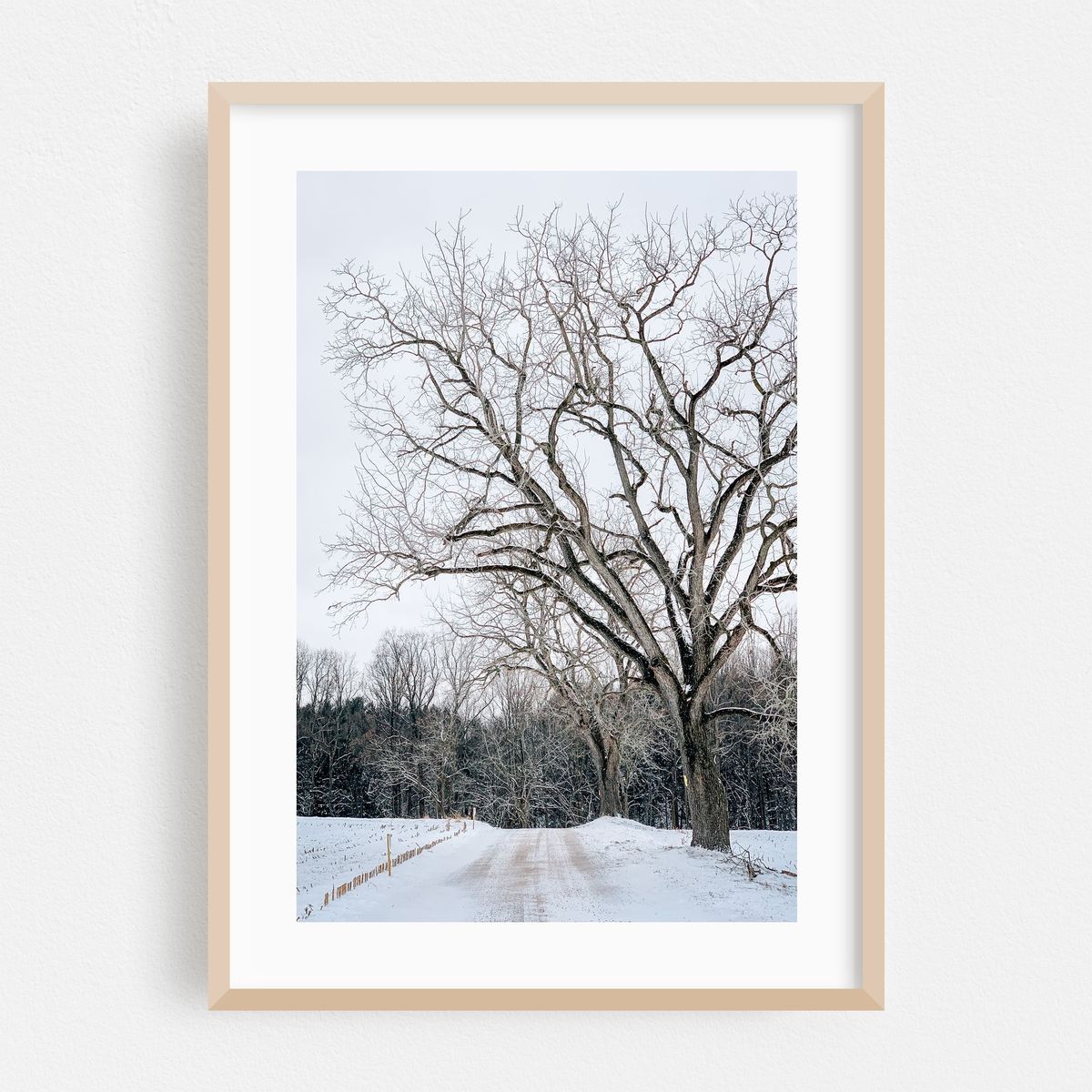Snowy Road 04 – image 1 of 16