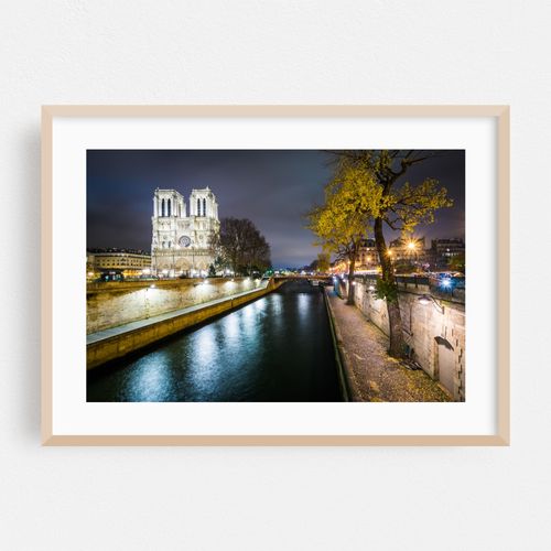 The Cathédrale Notre Dame De Paris