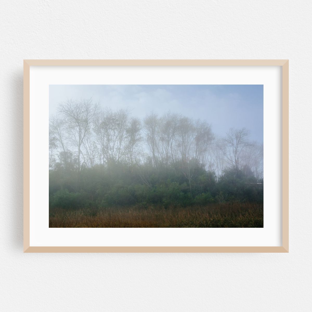 Washed Out – image 1 of 6