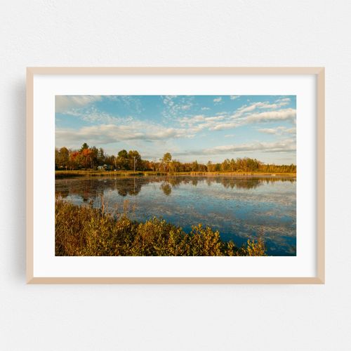 Autumn in Piercefield 01