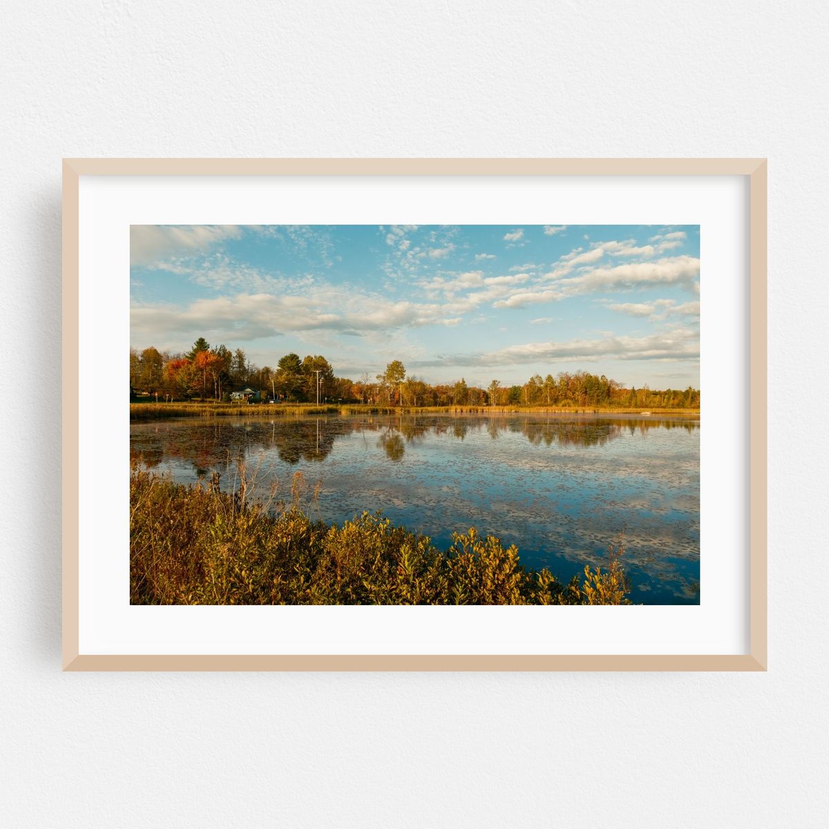 Autumn in Piercefield 01 – image 1 of 6