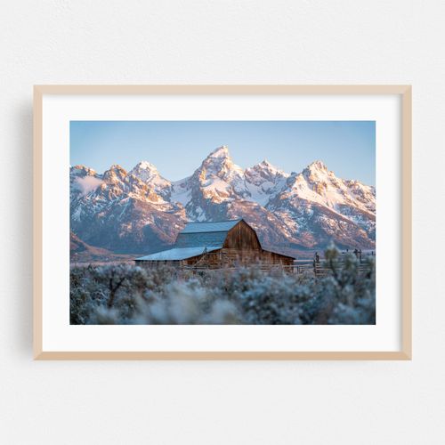 Frosted Tetons