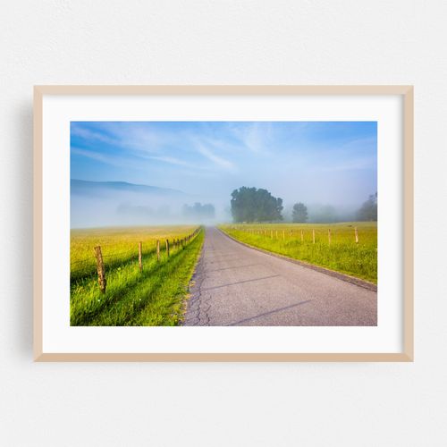 Country Fog