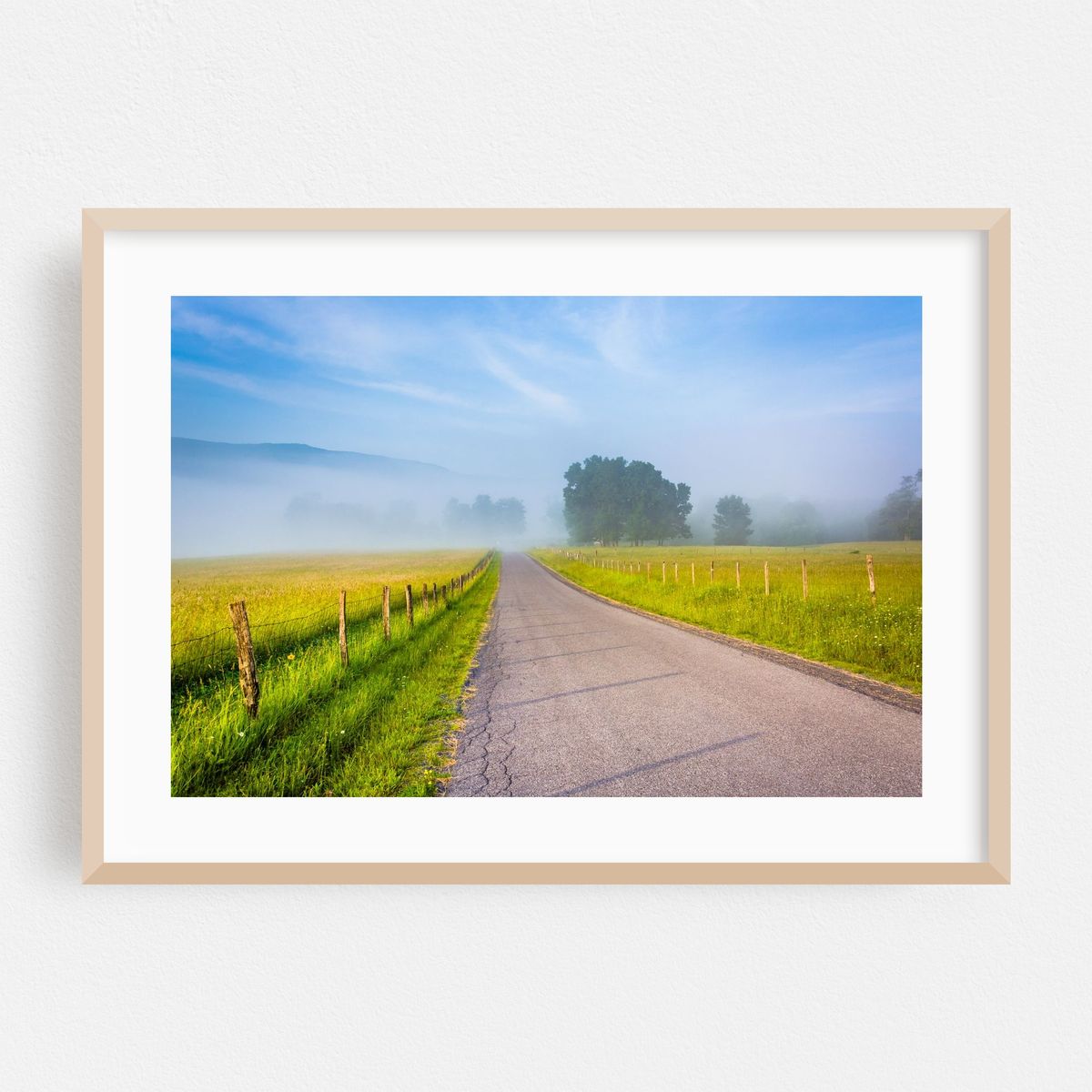 Country Fog – image 1 of 6