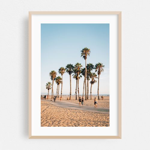 Palms, Santa Monica 02