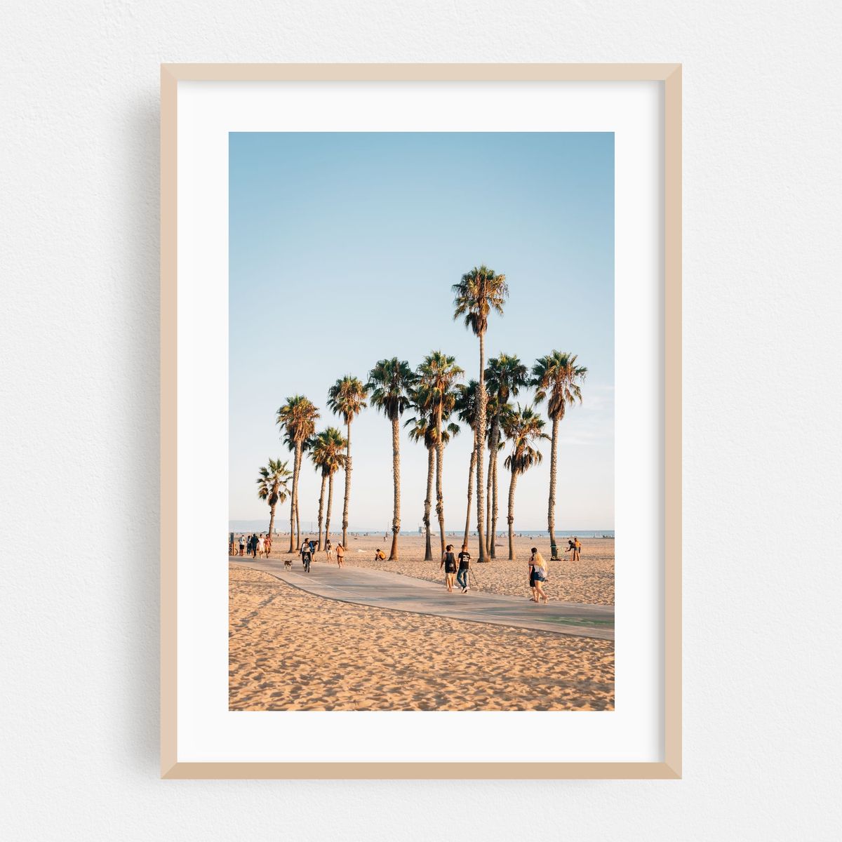 Palms, Santa Monica 02 – image 1 of 16
