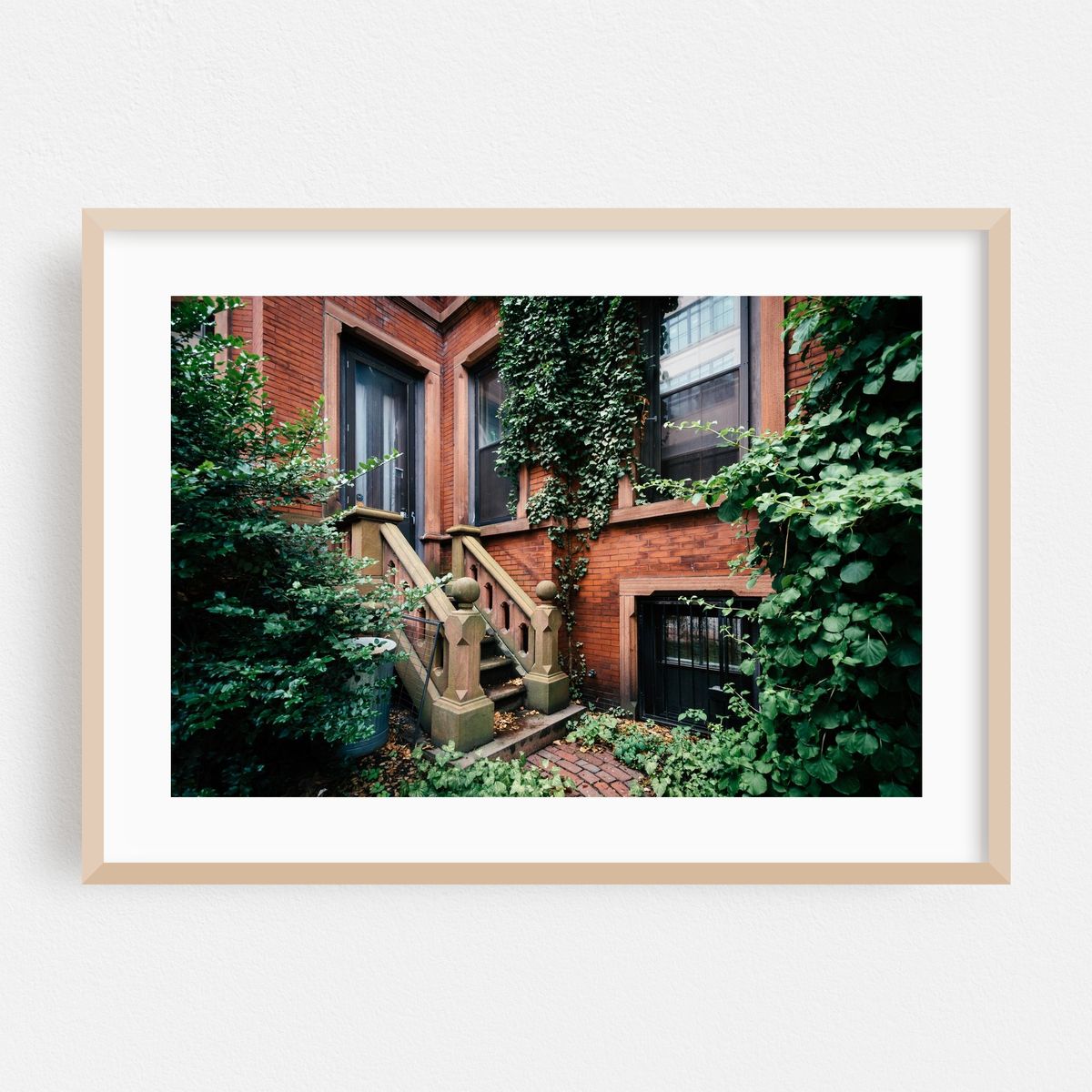 Beacon Hill Ivy – image 1 of 6