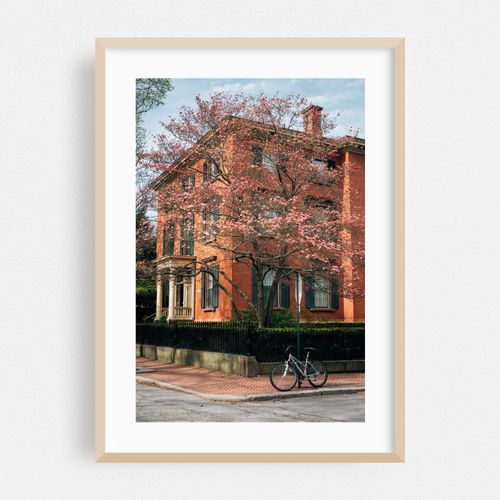College Hill Color