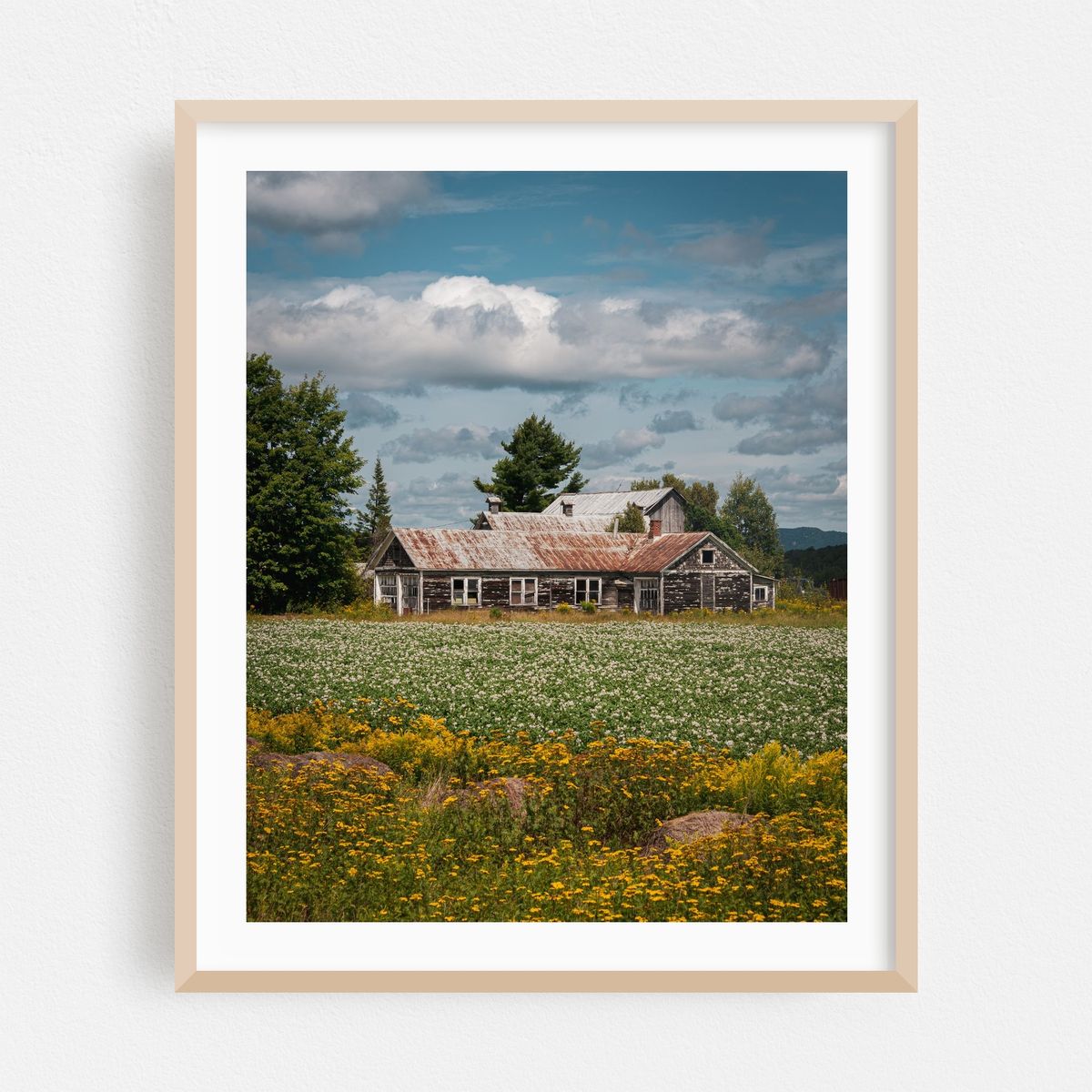 Old Barn – image 1 of 12