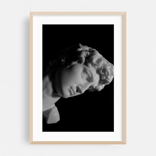 David in Monochrome