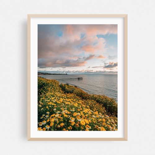La Jolla Coastal 03